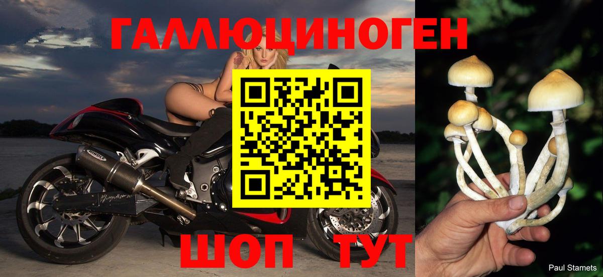 ГАШ  Кумертау  NBOMe  Вход с VPN  Конопля  МЕФ   Экстази  COCAIN 